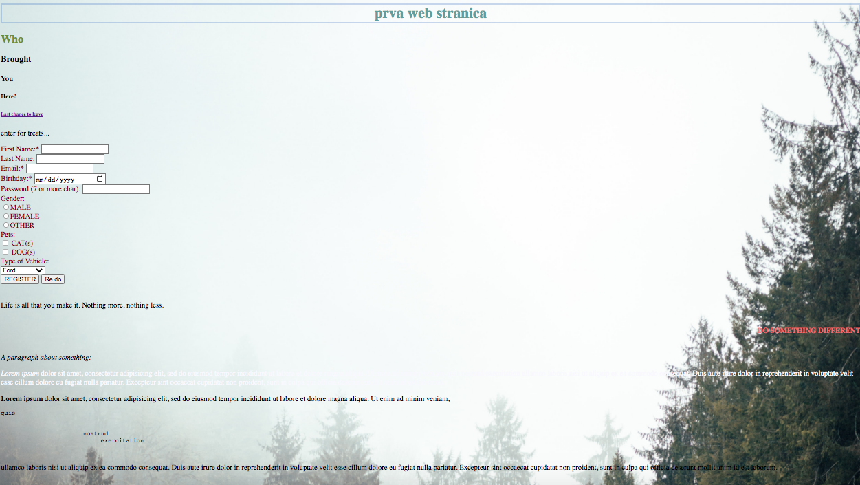 screenshot of first site